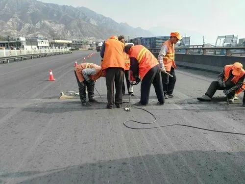 华南热作学院道路桥梁病害治理